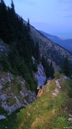Calin Florea (5)