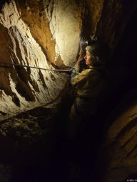 Mark Hermnan (7)